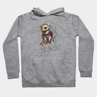 Little Owl Hoodie